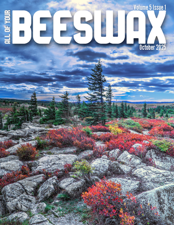 Beeswax Vol 5 Issue 1