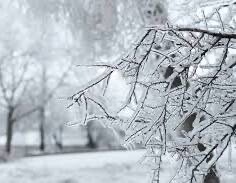 ice