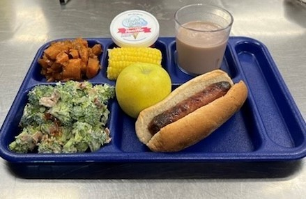 lunch tray