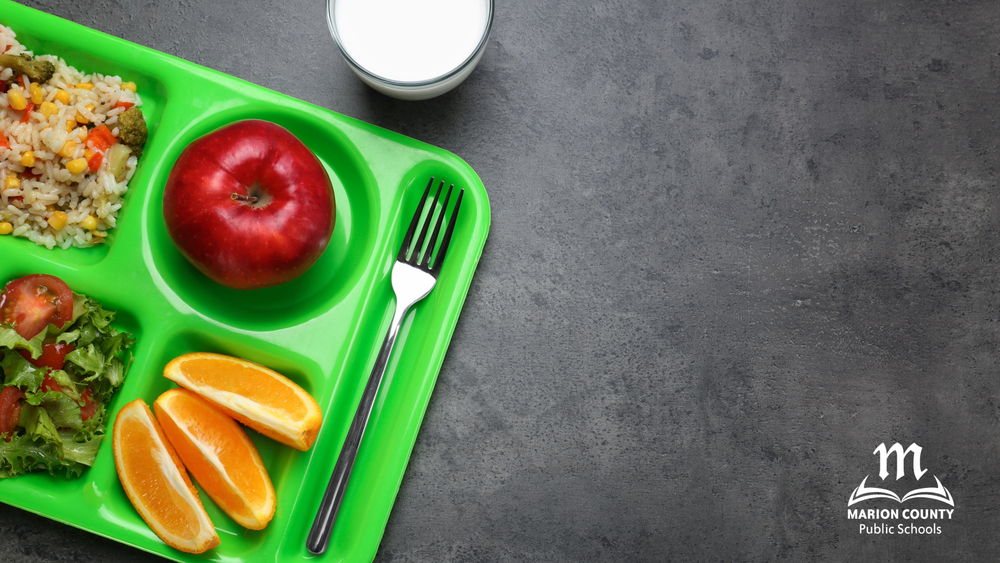 school lunch tray