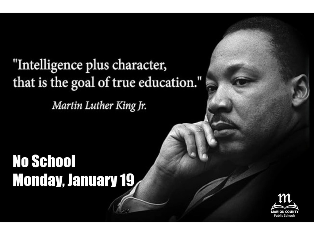MLK Jr. Graphic