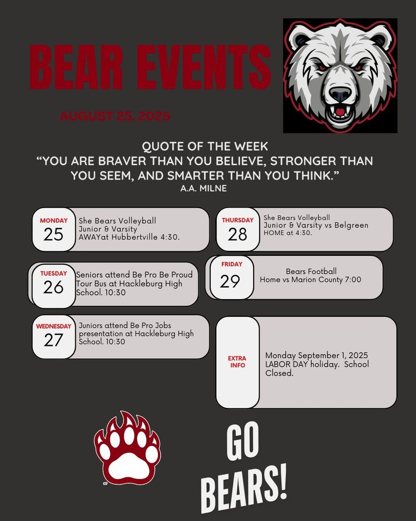 Bear News Aug 25