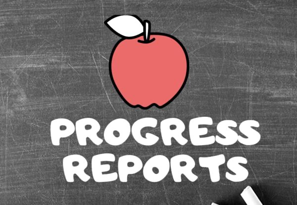 progress report