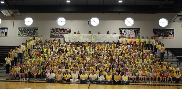 Yellow For Lesley 