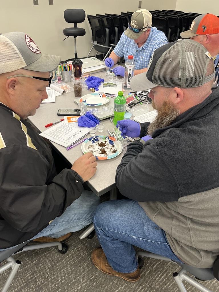 McDuffa and Lindley sorting into categories.