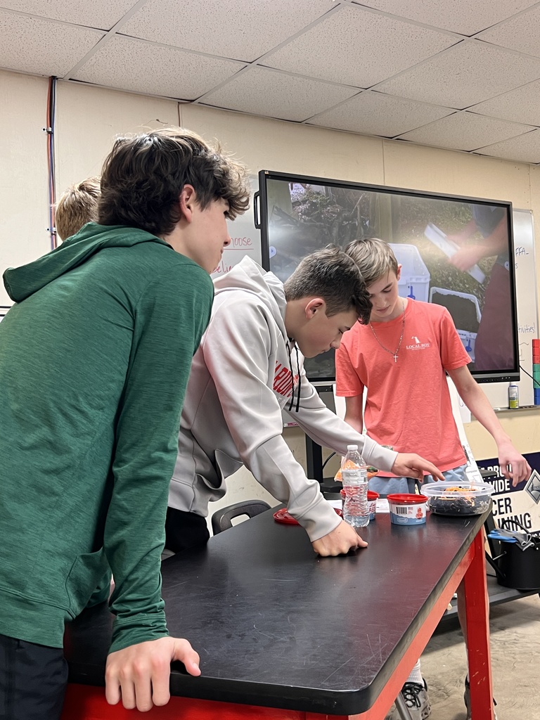 Students presenting on vermiculture