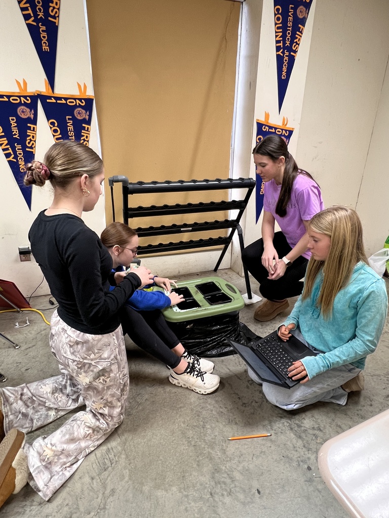 Students preparing for hydroponics