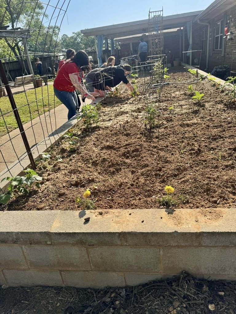 Gardening