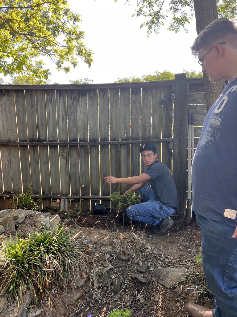deciding where to put the azaleas