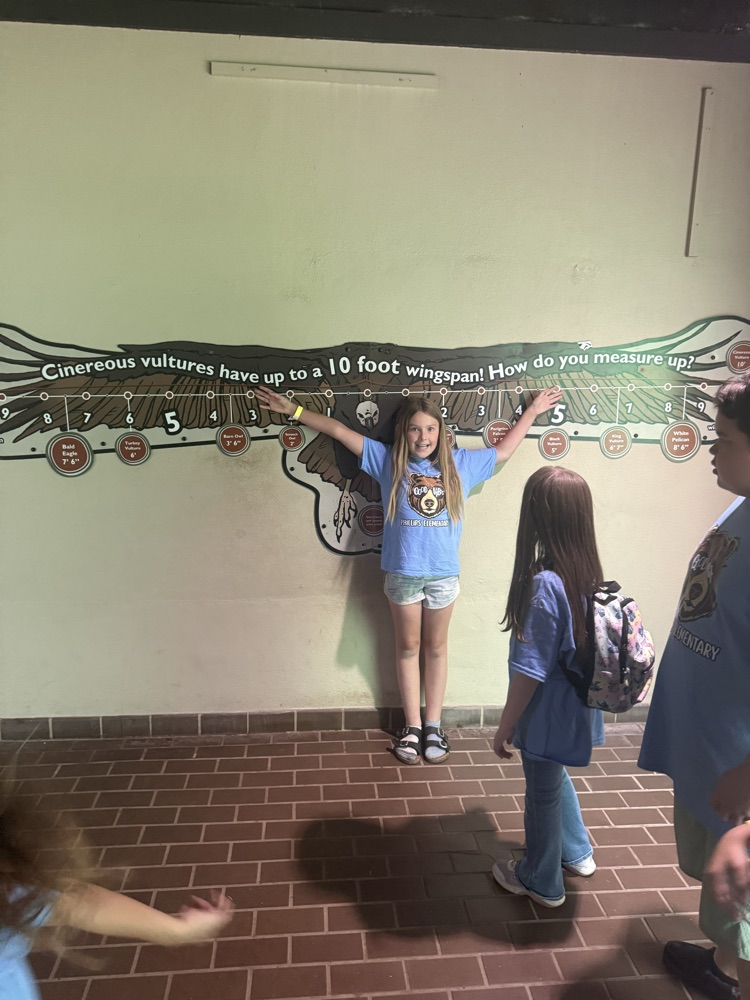 zoo
