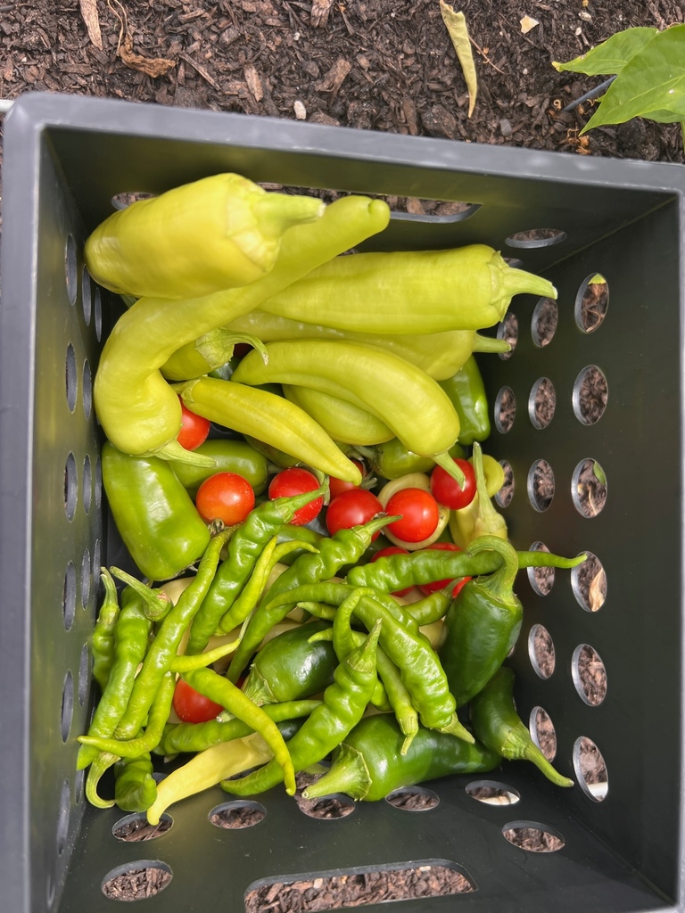Garden Goodness