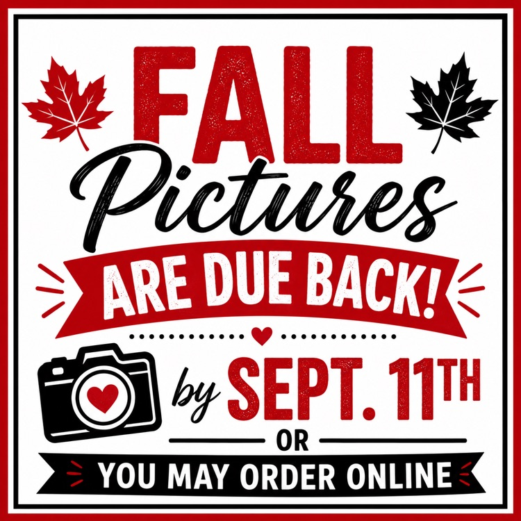 pictures 