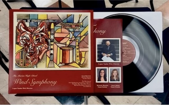 vinyl