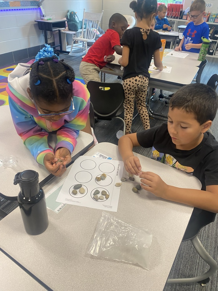 River rock investigating