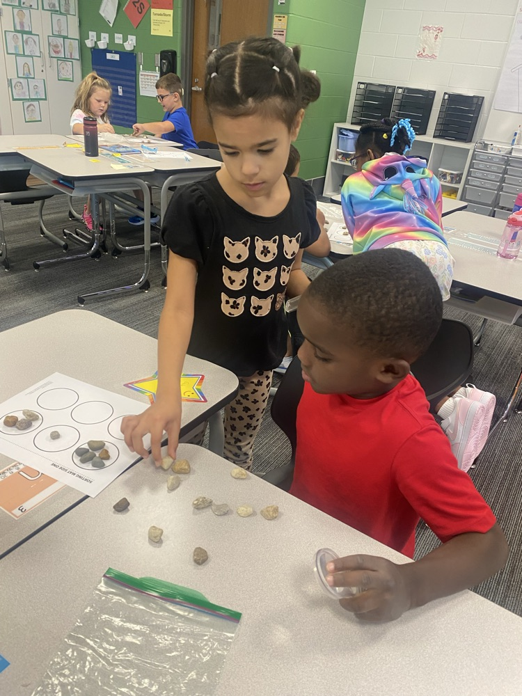 River rock investigating