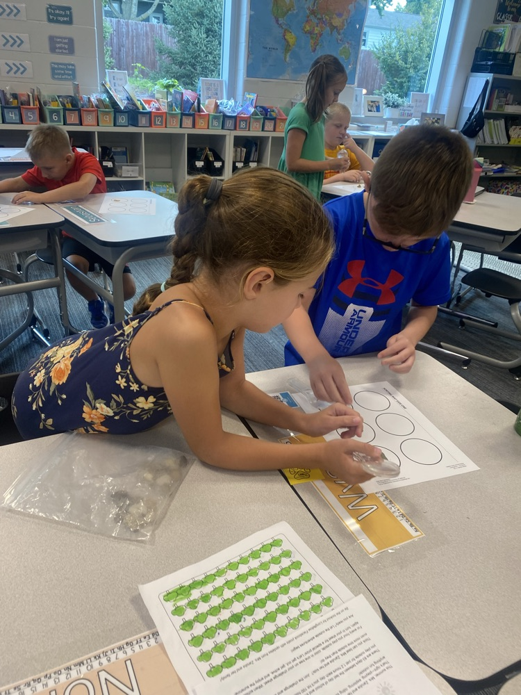 River rock investigating