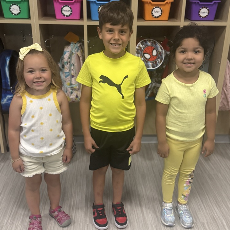 color day 