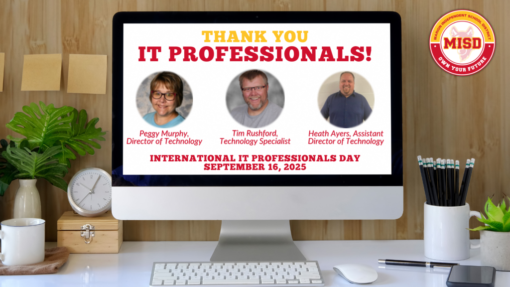 IT Professionals Day