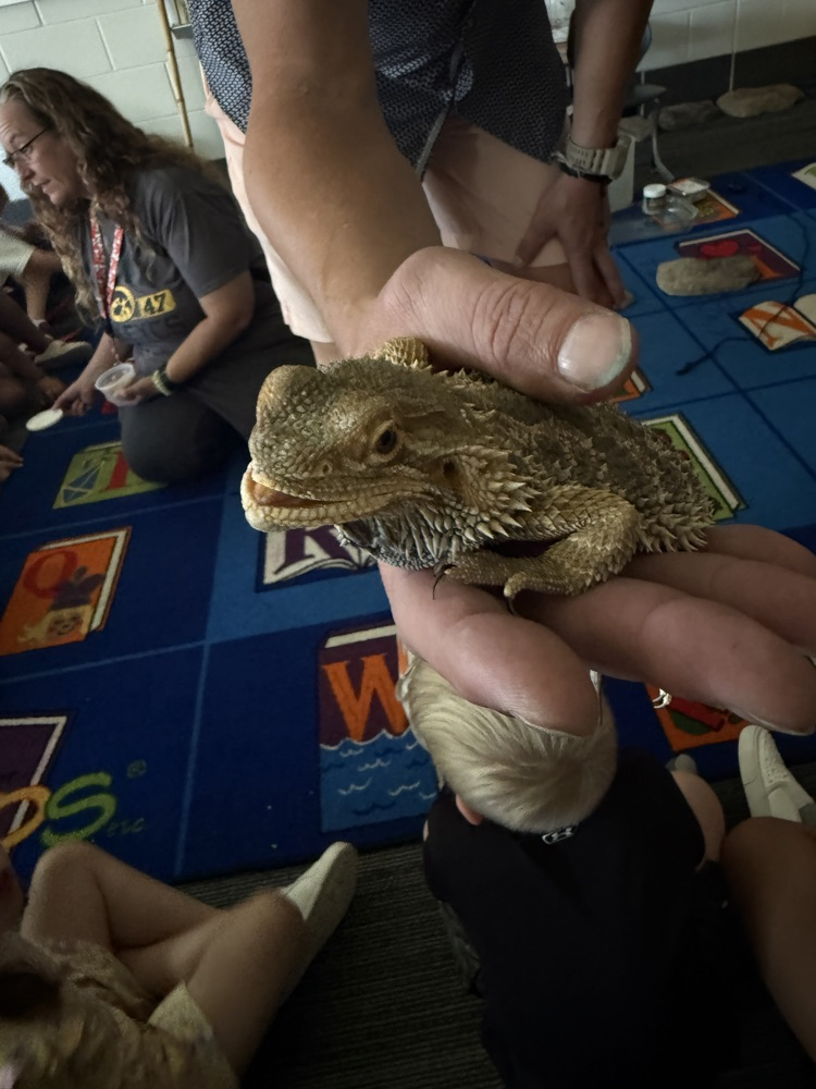 Live Pet Day