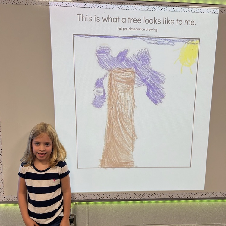 trees