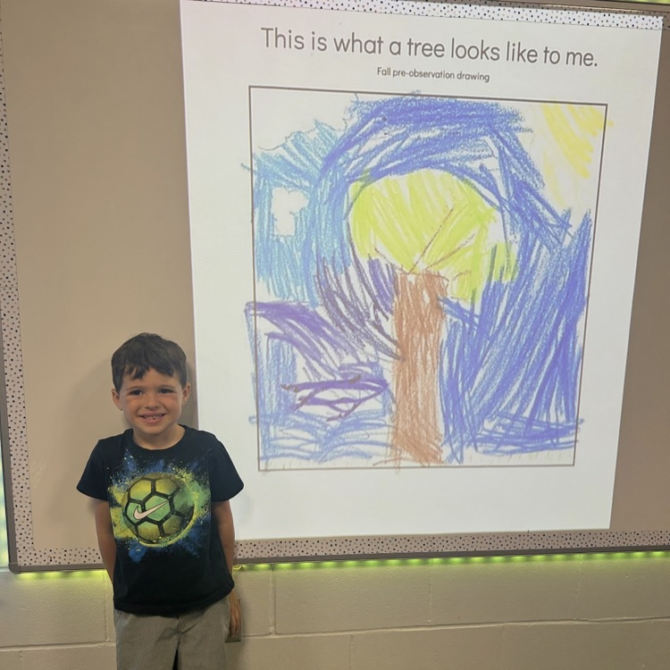 trees