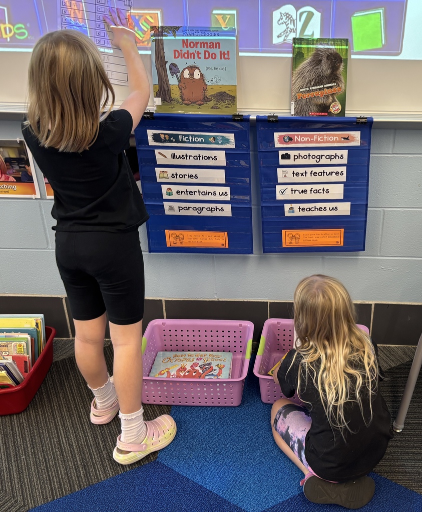 fiction or nonfiction scavenger hunt