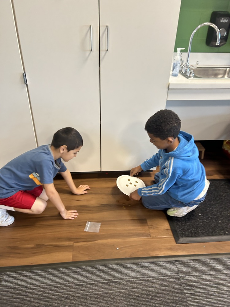 Penny Plate Game