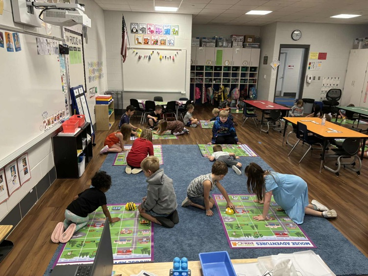 Exploring BeeBots and BlueBots