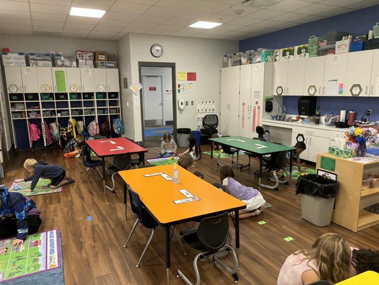 Exploring BeeBots and BlueBots