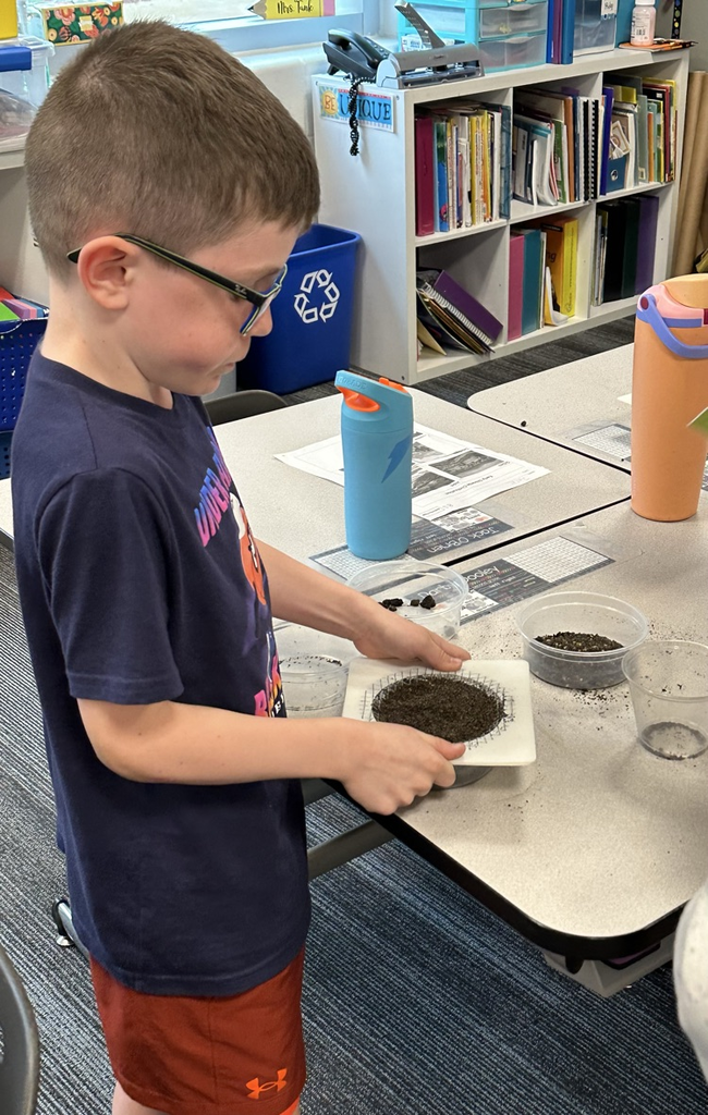 2nd grade science