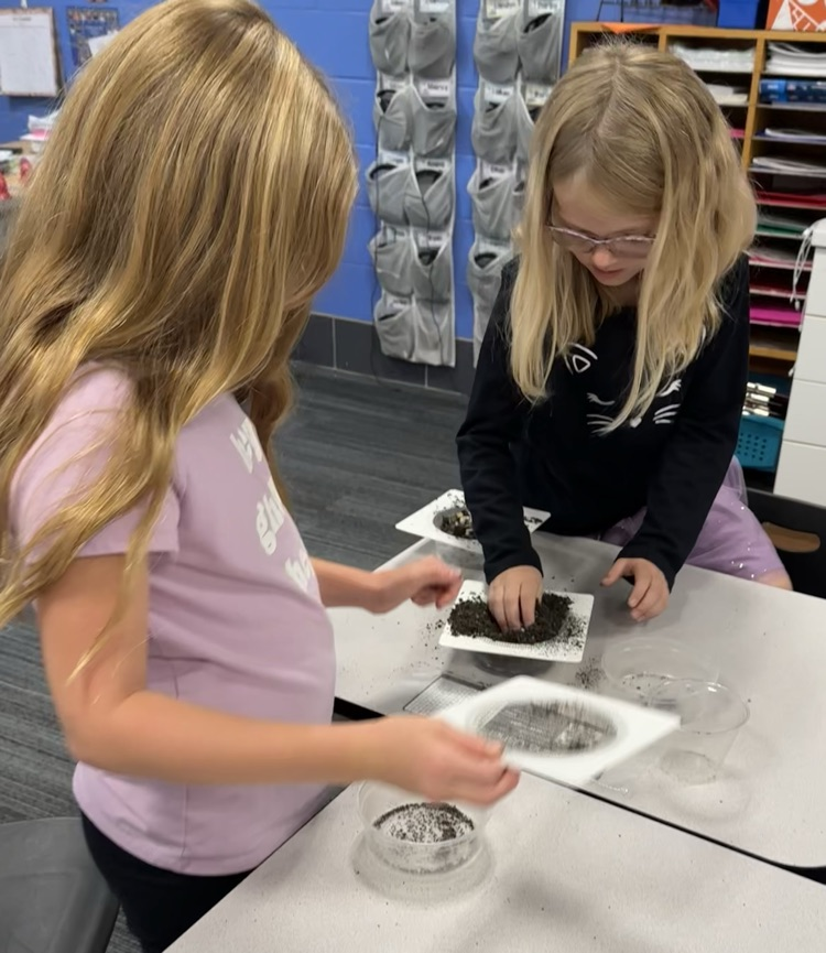 2nd grade science