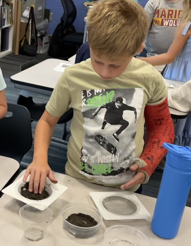 2nd grade science