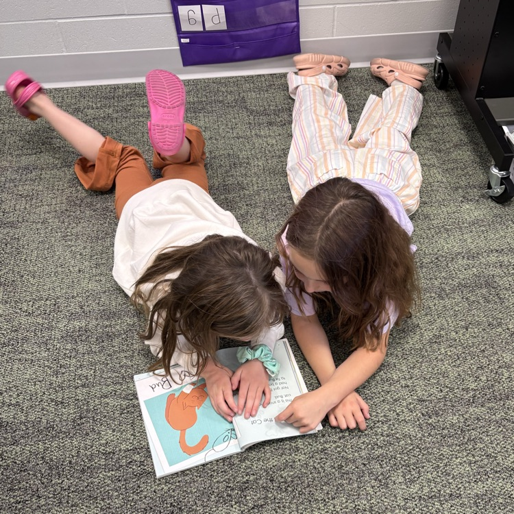 partner reading