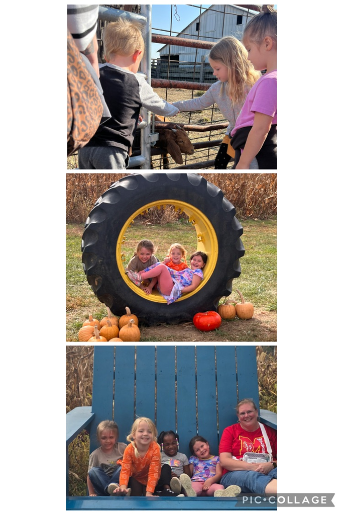 Preschool Kroul Farm field trip