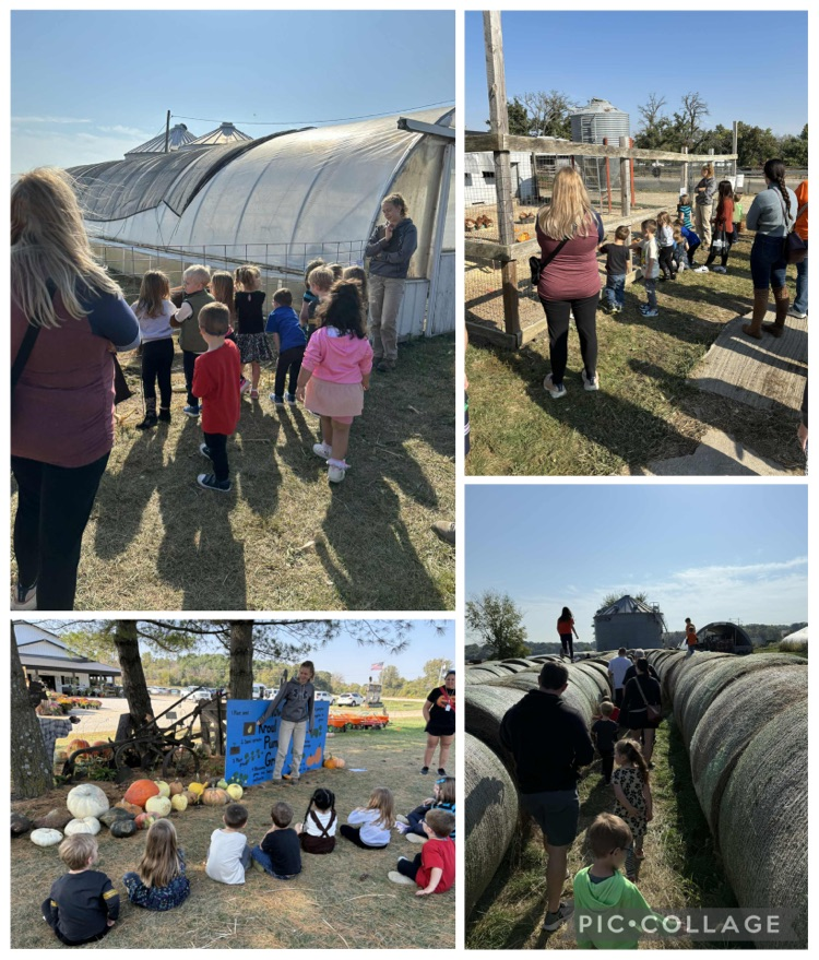 Preschool Kroul Farm field trip