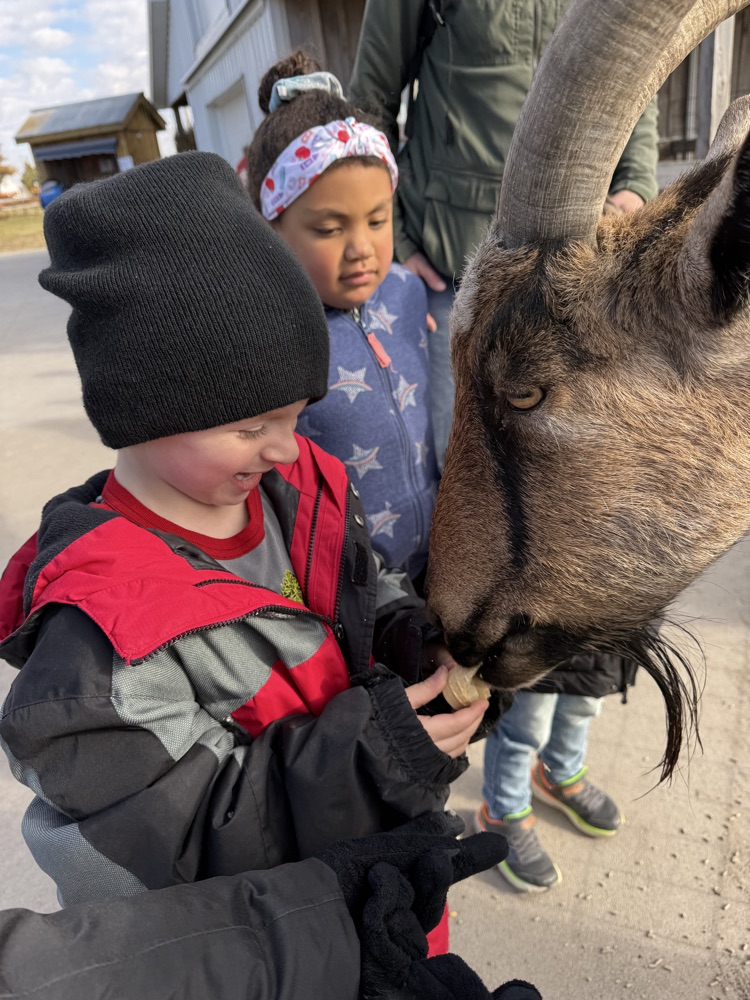 kindergarten field trip