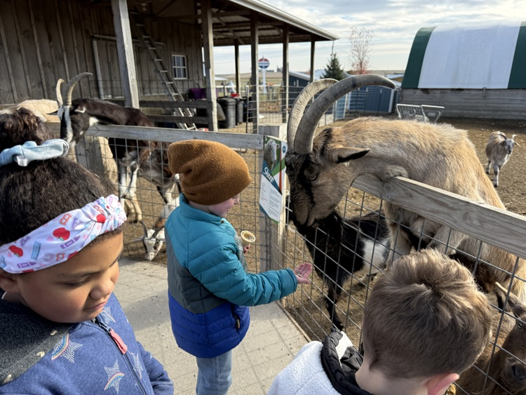 kindergarten field trip