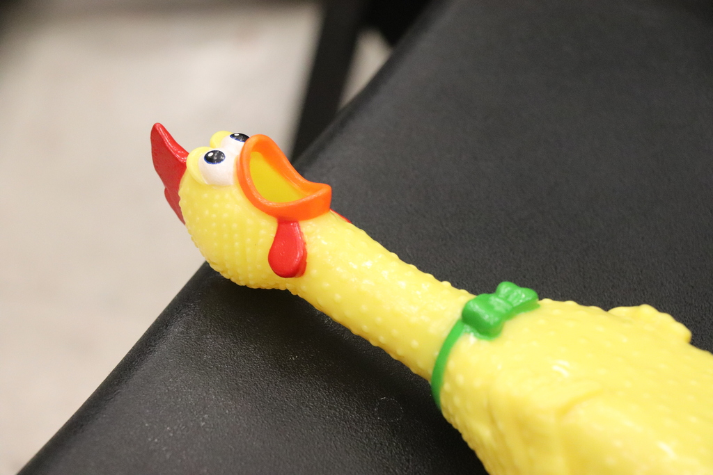 A Rubber Chicken 
