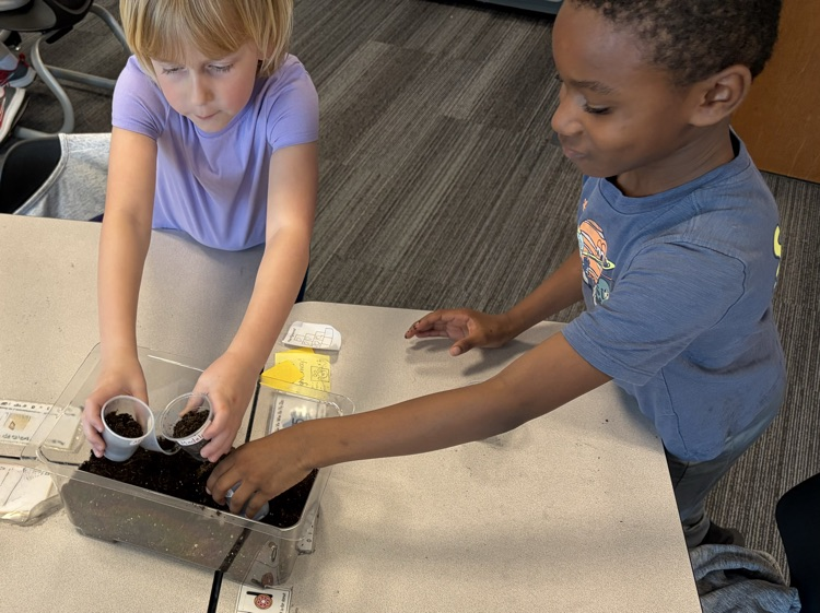 1st grade planting