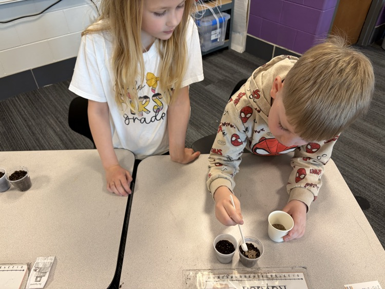 1st grade planting
