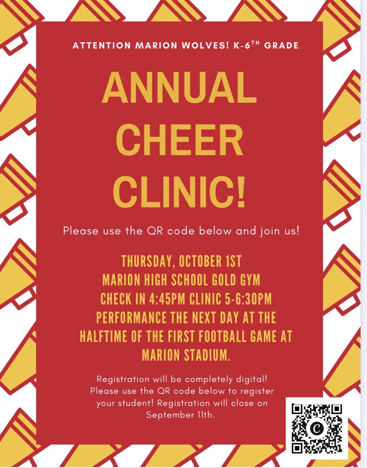 cheer clinic flyer