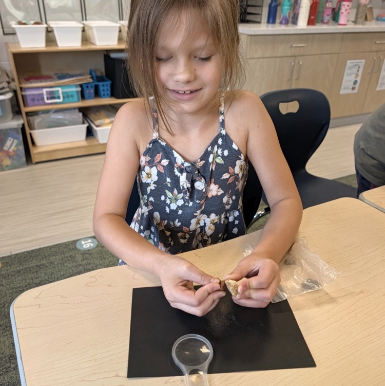 2nd grade science