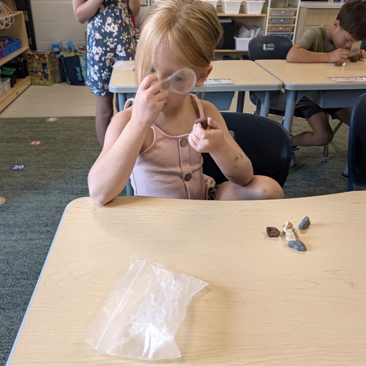 second grade science