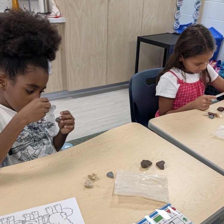 second grade science