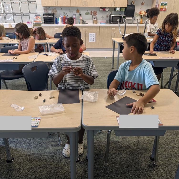 second grade science