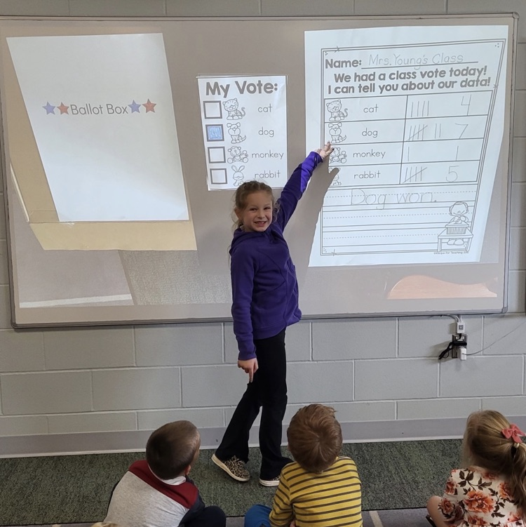 voting