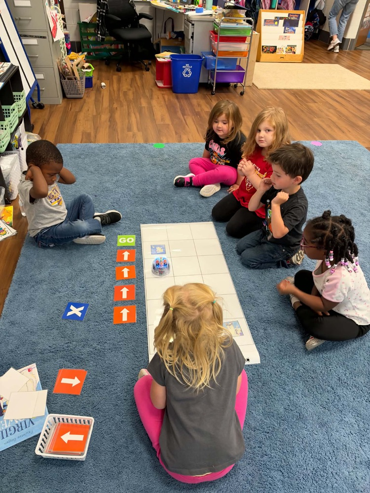 Blue-Bot coding