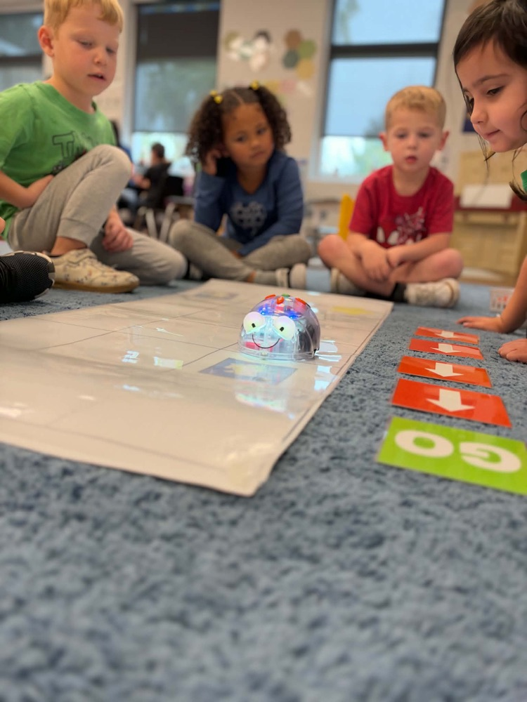 Blue-Bot coding