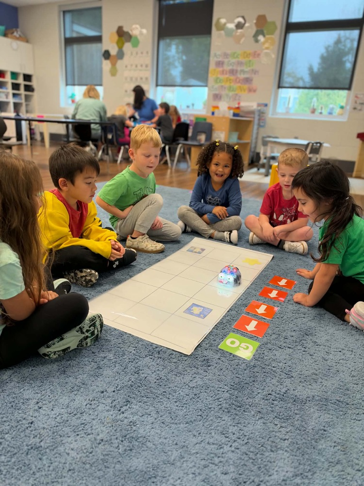 Blue-Bot coding