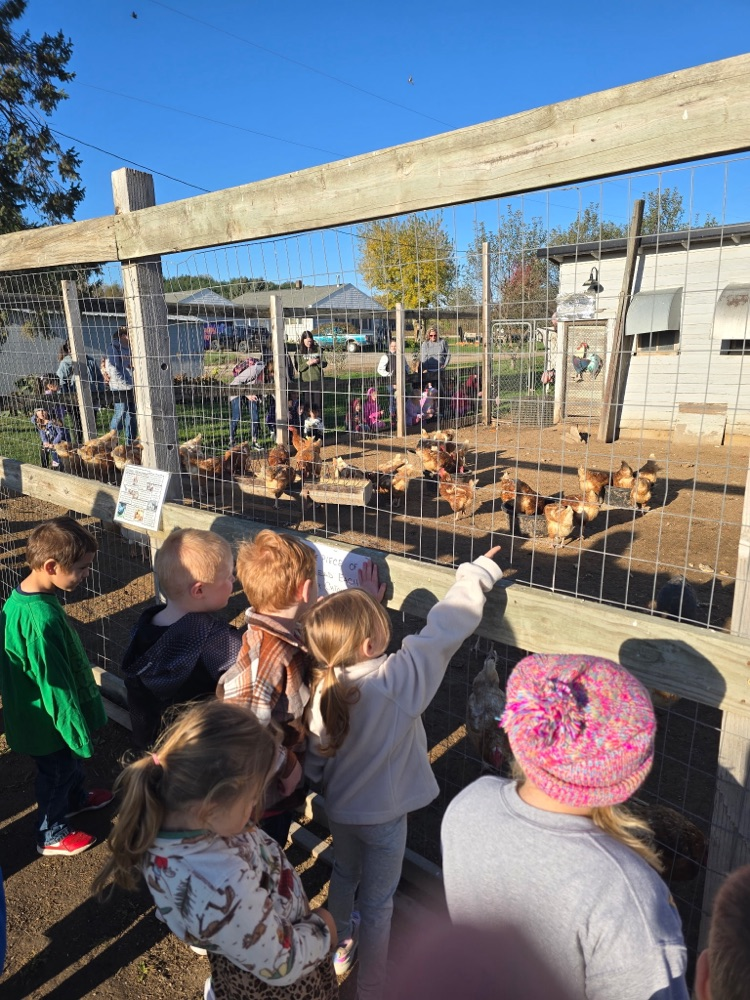Preschool field trip